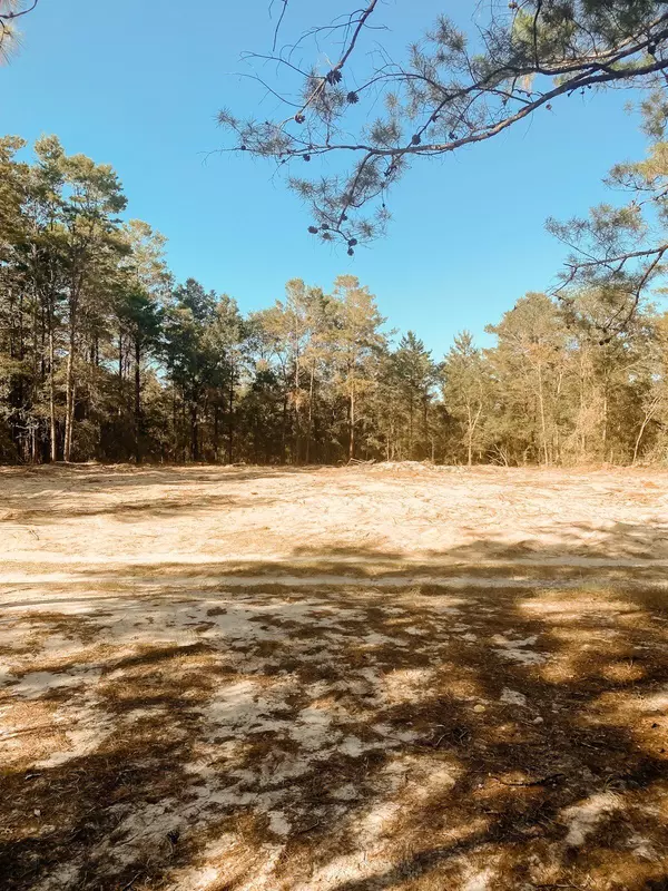 Lot 14 Big Cypress Dr. E, Defuniak Springs, FL 32433