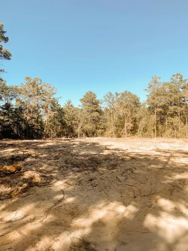 Defuniak Springs, FL 32433,Lot 14 Big Cypress Dr. E