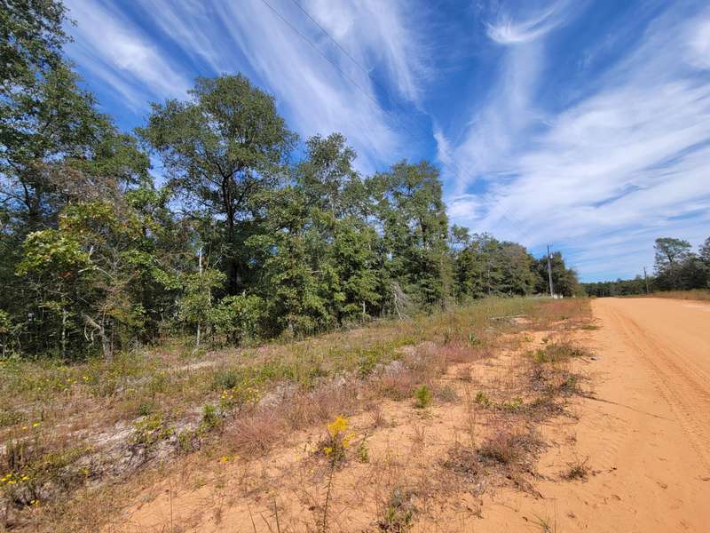 Lot  21 E Larkspur Avenue, Defuniak Springs, FL 32433