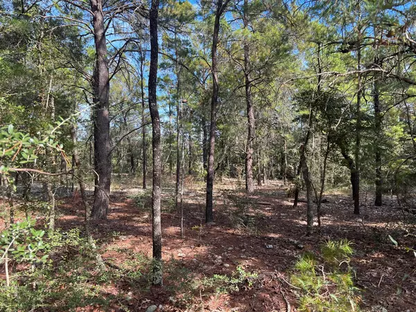 Defuniak Springs, FL 32433,2 Lots W Violet Lane