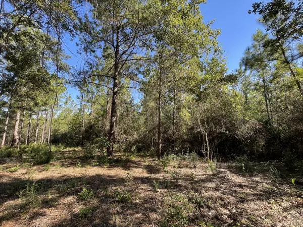 Defuniak Springs, FL 32435,Lot 1 Quail Ridge Road