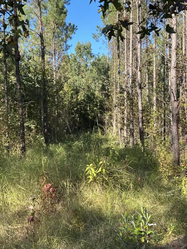 Lot 2 Jack Road, Laurel Hill, FL 32567