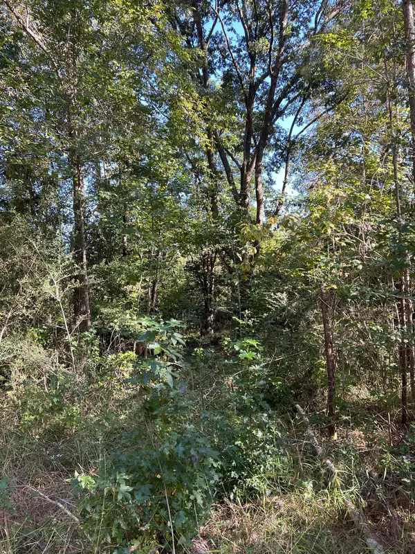 Lot 1 Jack Road, Laurel Hill, FL 32567