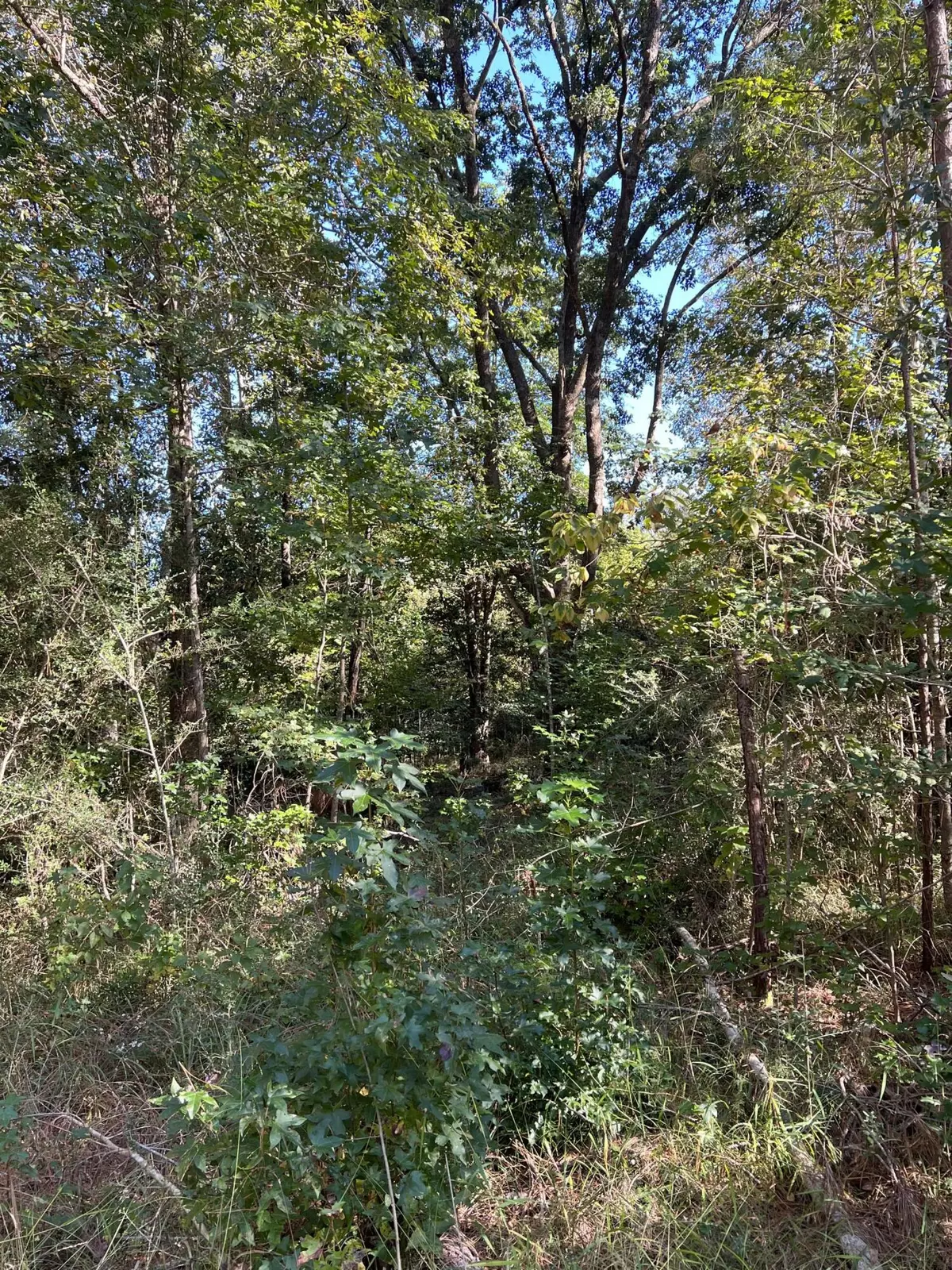 Laurel Hill, FL 32567,Lot 1 Jack Road