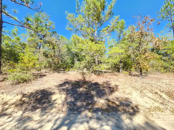 Lot 9 E Big Cypress Drive  #BLK 39 OAKWOOD HILLS UNIT II, Defuniak Springs, FL 32433