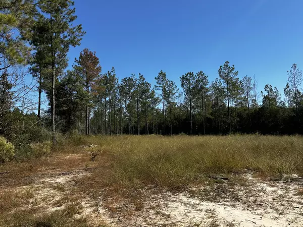 Milton, FL 32570,Parcel E Walther Road