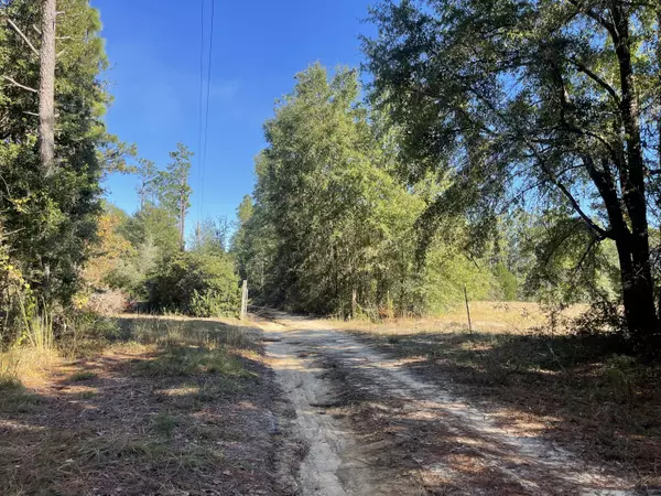 Defuniak Springs, FL 32433,1.25 AC Sexton Road