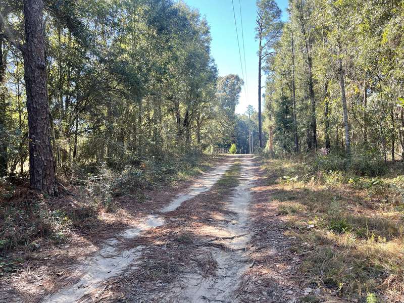 1.25 AC Sexton Road, Defuniak Springs, FL 32433