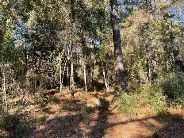 Defuniak Springs, FL 32433,1.25 AC Sexton Road