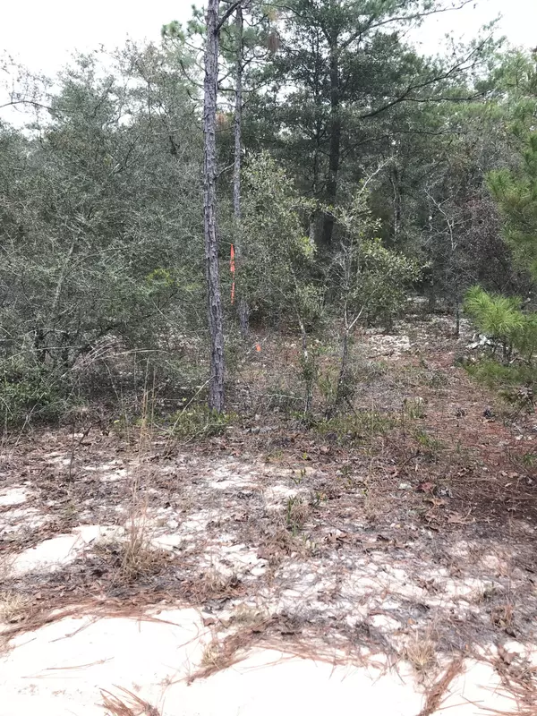 Defuniak Springs, FL 32433,Lot 7 Goldenrod Drive