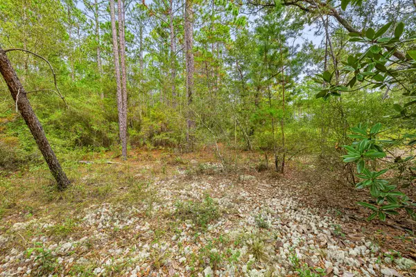 Freeport, FL 32439,000 COUNTY HWY 83A W