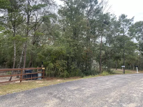 Defuniak Springs, FL 32433,TBD W Picasso Circle