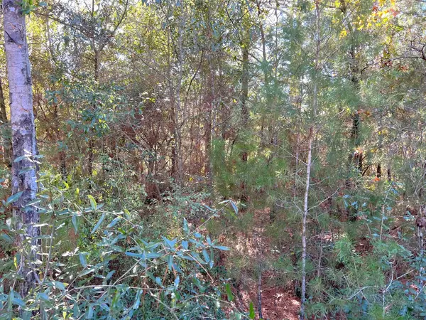 Defuniak Springs, FL 32433,Lot 81, 82 Brookside Drive