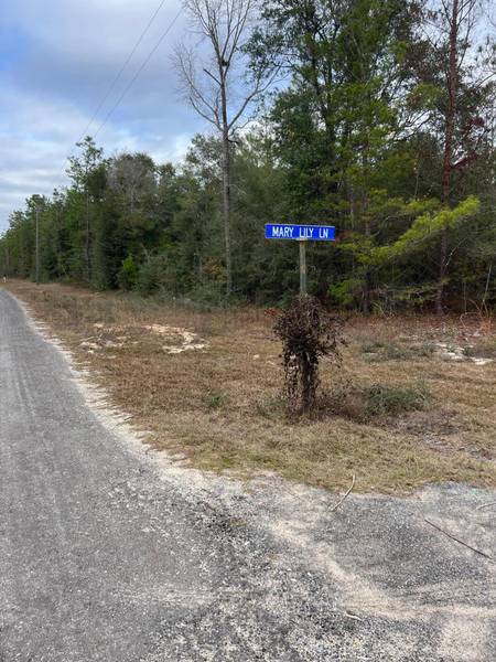 0000 Watson Road, Defuniak Springs, FL 32433