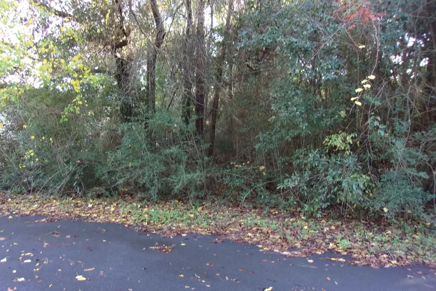 Lot 6 E Oaklane Street, Crestview, FL 32539