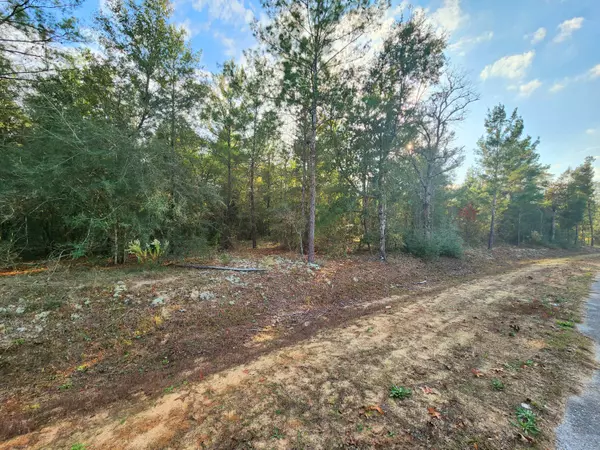 Defuniak Springs, FL 32433,Lots 2-3 Oakwood Lakes Boulevard  #Blk G