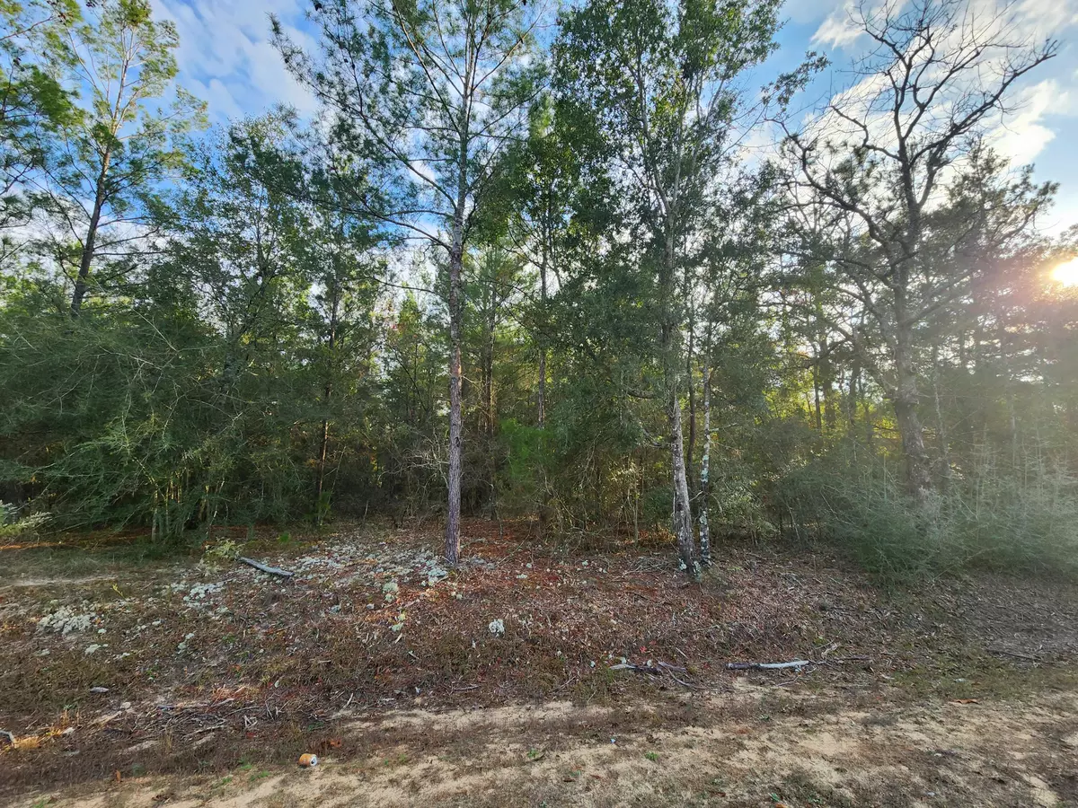 Defuniak Springs, FL 32433,Lots 2-3 Oakwood Lakes Boulevard  #Blk G