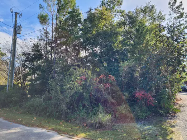 Santa Rosa Beach, FL 32459,Lot 4 Greenbriar Lane