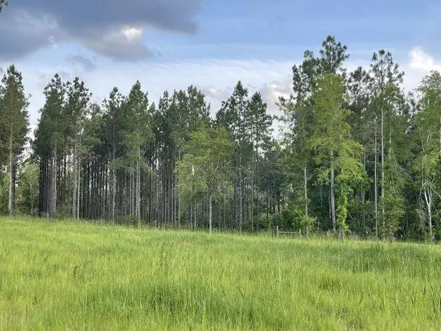 Laurel Hill, FL 32567,Parcel D Bill Lundy Road