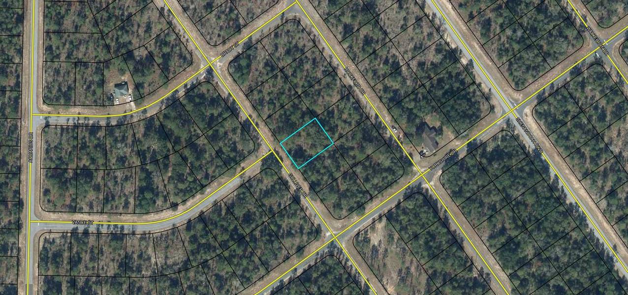 000 Gulliver Drive, Chipley, FL 32428