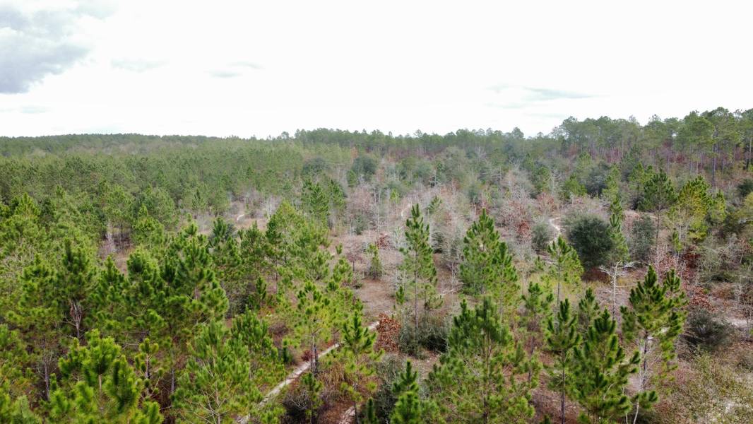 Lot A1 N Planters Drive, Laurel Hill, FL 32567