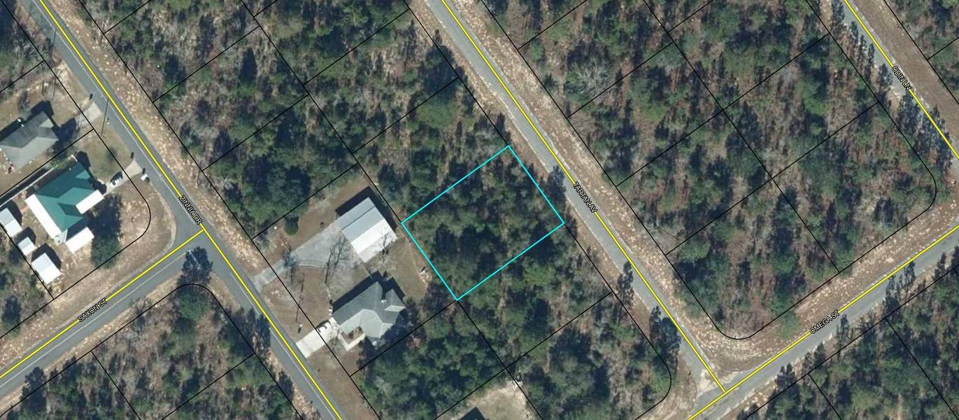 Lot 8 TARTAN Avenue, Chipley, FL 32428