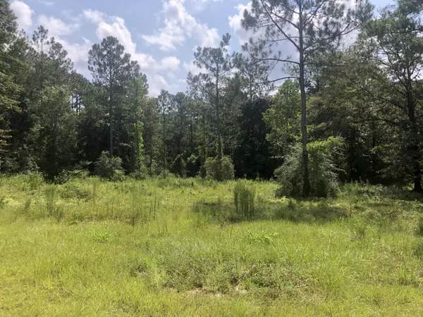 Defuniak Springs, FL 32435,65 Acres Hill Street