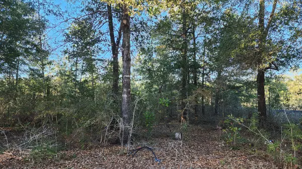 Defuniak Springs, FL 32433,Lot 10 Pfitzer Court