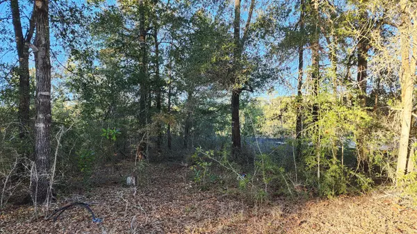 Defuniak Springs, FL 32433,Lot 10 Pfitzer Court