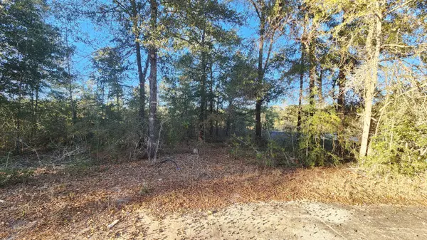 Defuniak Springs, FL 32433,Lot 10 Pfitzer Court