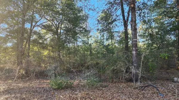 Defuniak Springs, FL 32433,Lot 10 Pfitzer Court