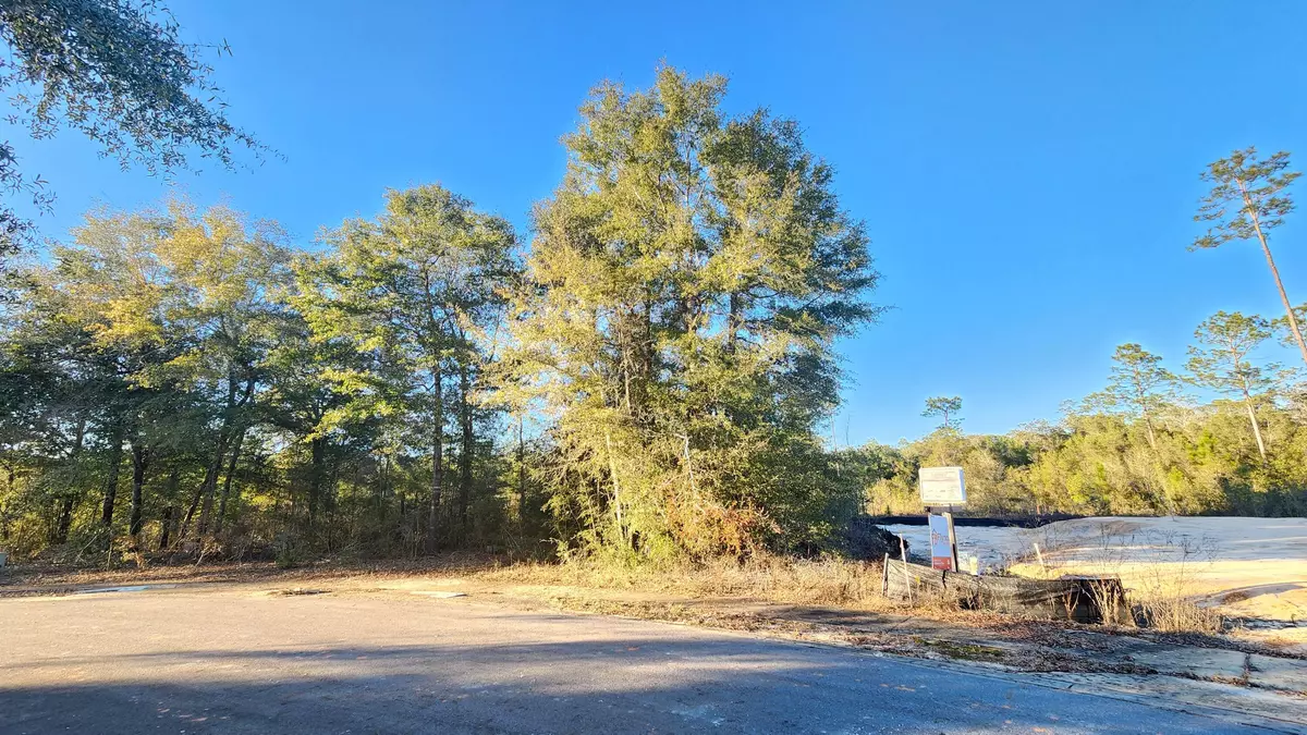 Defuniak Springs, FL 32433,Lot 10 Pfitzer Court