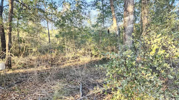 Defuniak Springs, FL 32433,Lot 11 Pfitzer Court