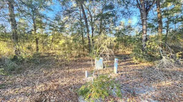 Defuniak Springs, FL 32433,Lot 11 Pfitzer Court