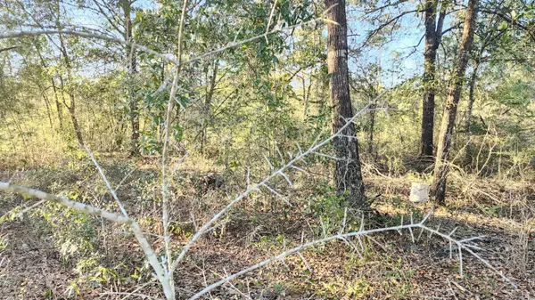 Defuniak Springs, FL 32433,Lot 11 Pfitzer Court