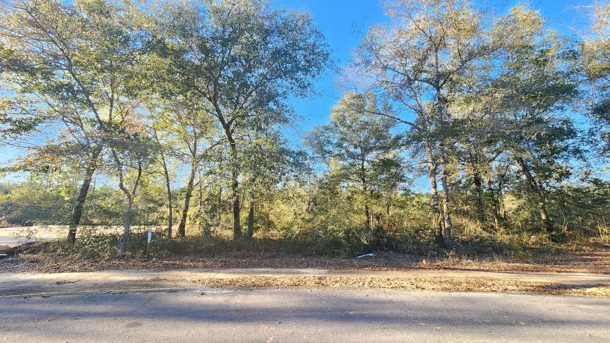 Defuniak Springs, FL 32433,Lot 12 Pfitzer Court