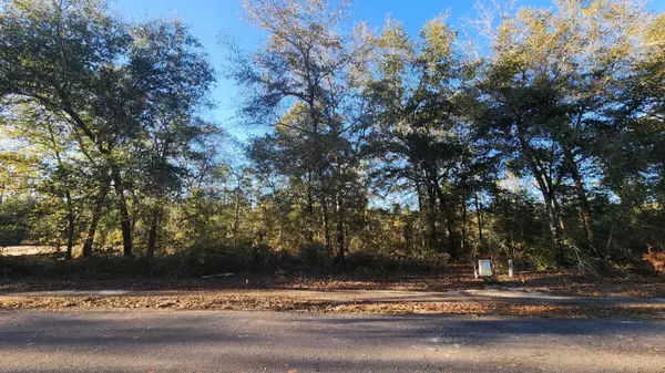 Defuniak Springs, FL 32433,Lot 12 Pfitzer Court