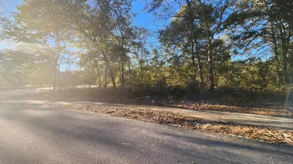 Defuniak Springs, FL 32433,Lot 12 Pfitzer Court