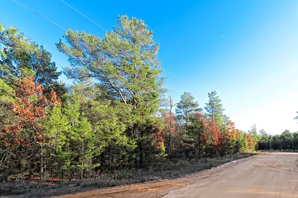 Defuniak Springs, FL 32433,000 DUCHESS Drive  #Lot 12