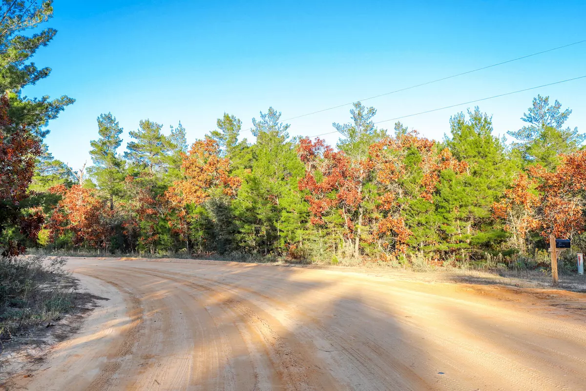 Defuniak Springs, FL 32433,000 DUCHESS Drive  #Lot 12