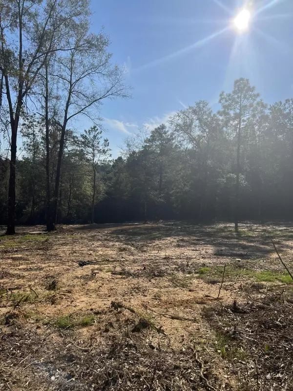 Defuniak Springs, FL 32433,lOT 10 ELMWOOD RD