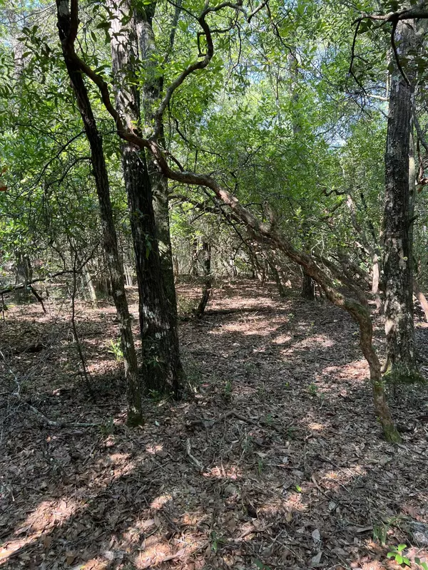 Defuniak Springs, FL 32433,lOT 10 ELMWOOD RD