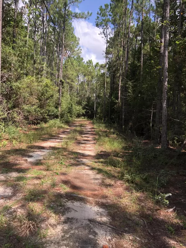 Freeport, FL 32439,Lot 19 Nicole Road