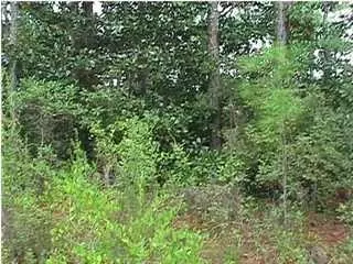 Lot 7 Arianna Lane, Santa Rosa Beach, FL 32459