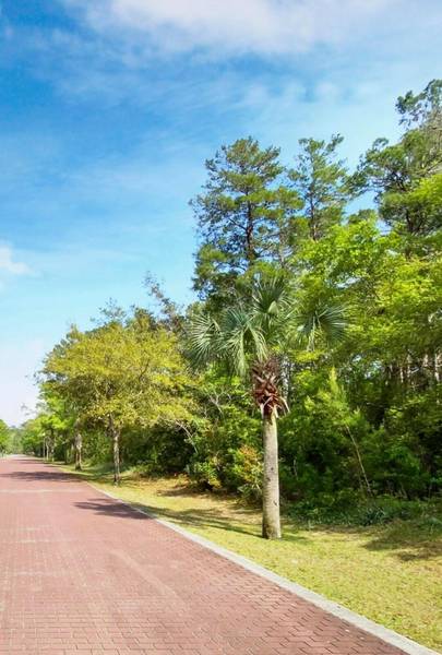 Lot 22 Magnolia Beach Way, Santa Rosa Beach, FL 32459