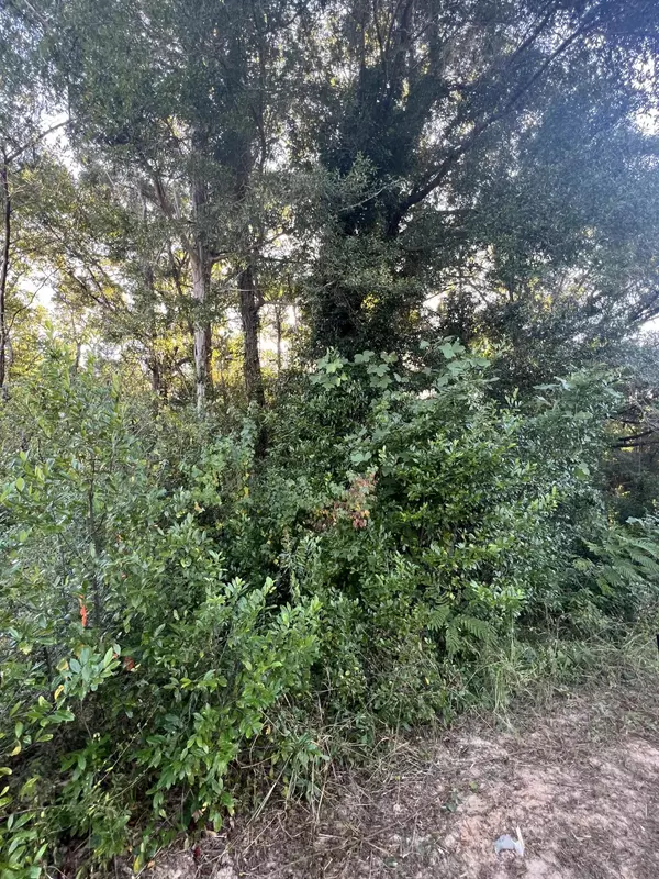 Crestview, FL 32536,Lot 16 Panama Drive