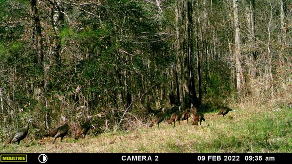 Ponce De Leon, FL 32455,22 acres Knox Hill Road