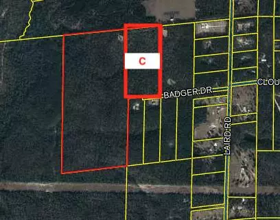 Crestview, FL 32539,20+/- AC Badger Drive  #parcel c