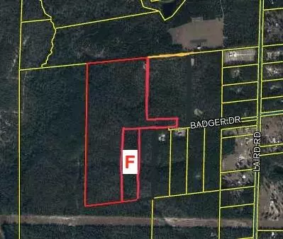 Crestview, FL 32539,10+/- AC Badger Drive  #Parcel F