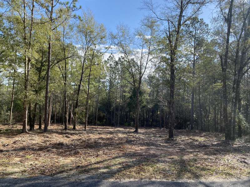 tbd Gilmore Road, Holt, FL 32564